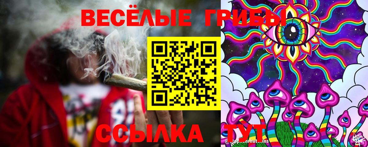 Галлюциногенные грибы MAGIC MUSHROOMS  Вход с VPN  Хабаровск 